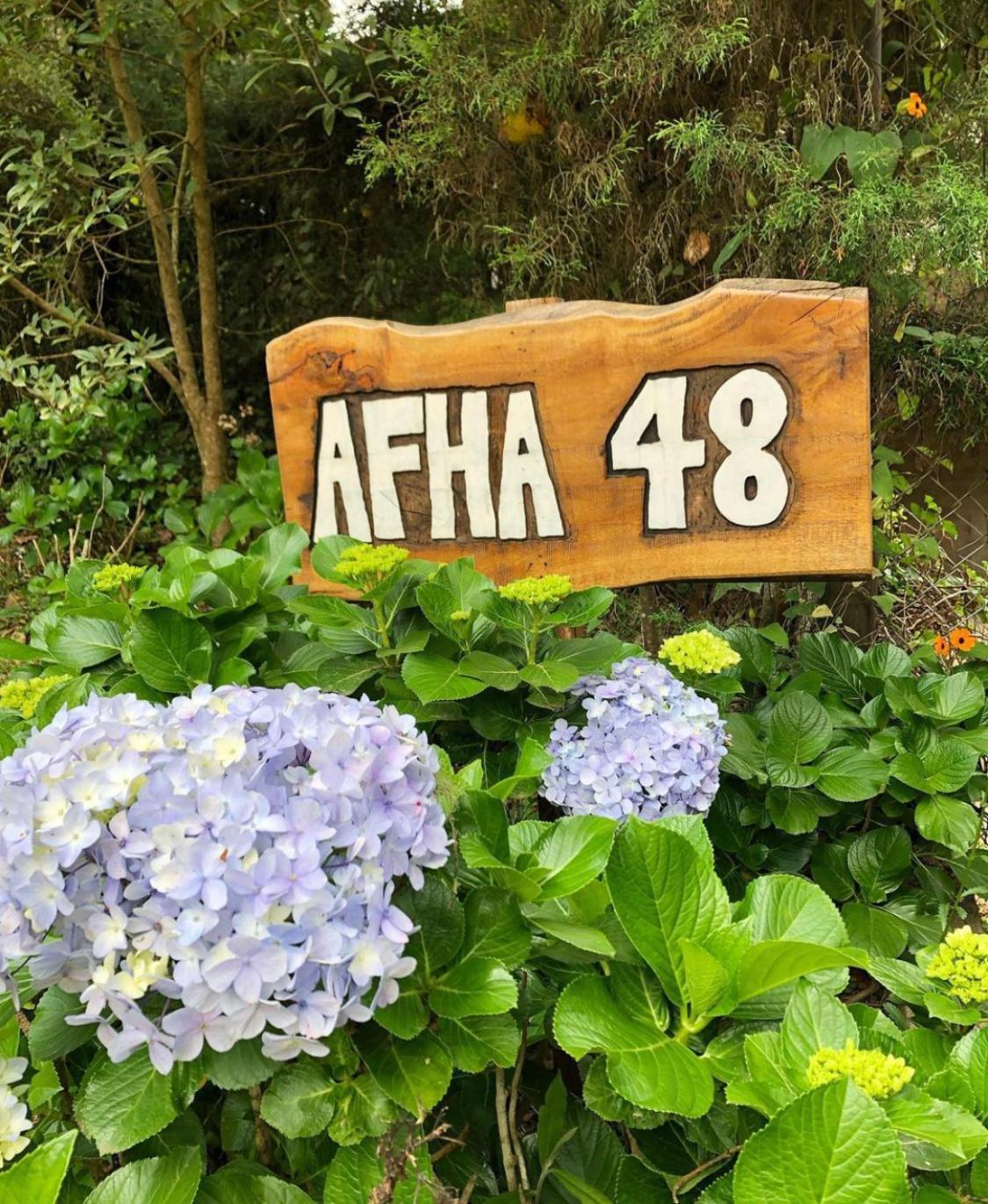 Вилла Afha 48 Монти-Верди Экстерьер фото